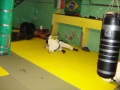 DSC05555