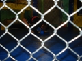 DSC05557