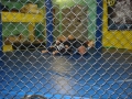 DSC05560