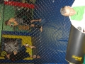 DSC05578