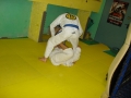 DSC05603