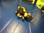 Allenamento Agonisti e Pro 8 Feb 2014