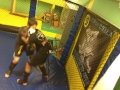 img-20140209-wa0028