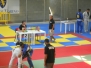 Gara BJJ Torino Giugno 2015