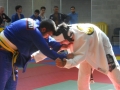 Graduazione-aprile-2015-mma-biella17