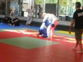 Graduazione-aprile-2015-mma-biella22