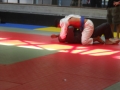 Graduazione-aprile-2015-mma-biella29