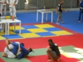 Graduazione-aprile-2015-mma-biella3
