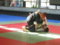 Graduazione-aprile-2015-mma-biella47