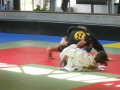 Graduazione-aprile-2015-mma-biella48