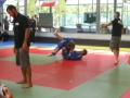 Graduazione-aprile-2015-mma-biella5