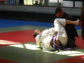 Graduazione-aprile-2015-mma-biella50