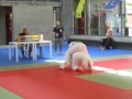 Graduazione-aprile-2015-mma-biella57
