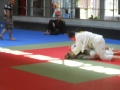 Graduazione-aprile-2015-mma-biella59