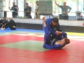 Graduazione-aprile-2015-mma-biella6