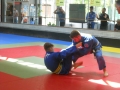 Graduazione-aprile-2015-mma-biella71
