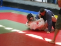 Graduazione-aprile-2015-mma-biella81