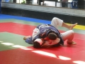 Graduazione-aprile-2015-mma-biella86