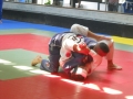 Graduazione-aprile-2015-mma-biella87