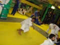 Graduazione-aprile-2015-mma-biella17.jpg