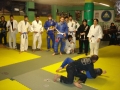 Graduazione-aprile-2015-mma-biella33.jpg