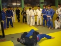 Graduazione-aprile-2015-mma-biella35.jpg