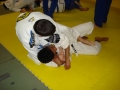 Graduazione-aprile-2015-mma-biella4.jpg