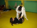 Graduazione-aprile-2015-mma-biella54.jpg