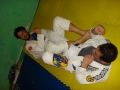 Graduazione-aprile-2015-mma-biella57.jpg