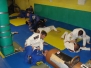 Graduazione BJJ Novembre 2016