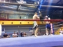 MMA a Maggio 2014